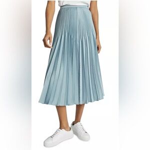 Sold out Reiss Diana Embellished Pleated Midi Skirt